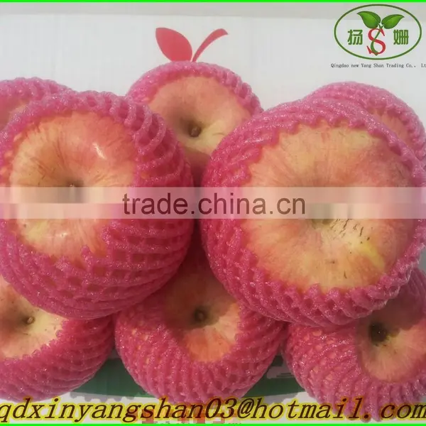 Fresh Apples/APPLES/APPLE photo-2