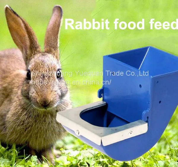 Automatic Rabbit Plastic Feeder 10cm Farm Rabbit Food Feeder