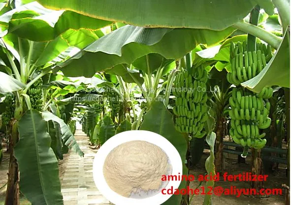 13% Chelate Amino Calcium Acid Fertilizer Completely Water Soluble Aminoacids Ca Incease Quality photo-3