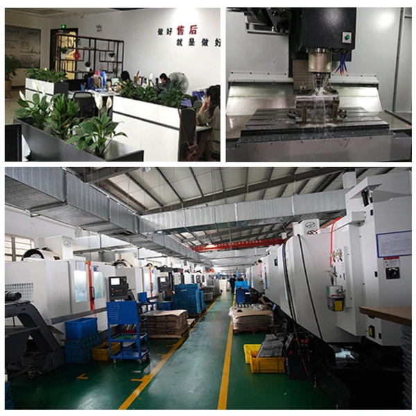 Ningbo Welldo Technology Co., Ltd. company overview - view 1