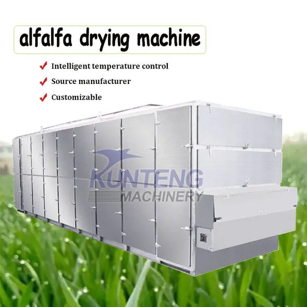 Multi-layer Continuous Mesh Belt Dryer Apple Dryer Machine Coconut Copra Dryer Conveyor Mesh Belt Dryer