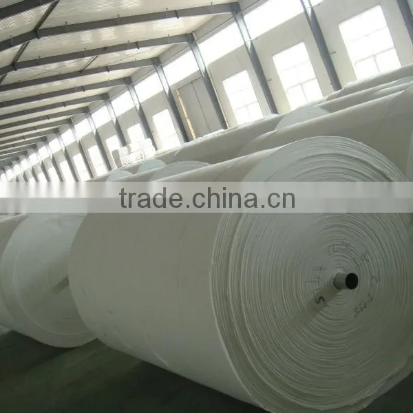Non-woven Polyester Mat for Modified Bitumen Membrane photo-2