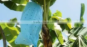 900mm*2000 mm Fruit Protection Bag for Banana photo-2
