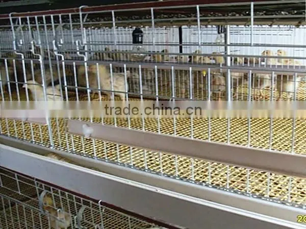 Poultry Farming Equipment Meat Broiler Cage for Steel Chicken House photo-4