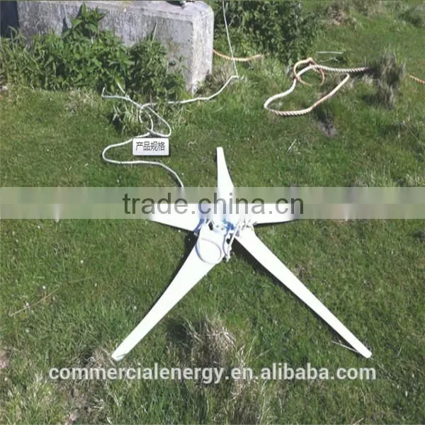 High Quality Wind Generator China Wind Turbine Generator Wind Power Generator photo-6