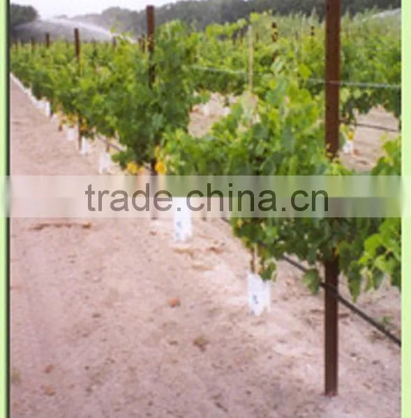 Metal Vineyard Trellis Post photo-3