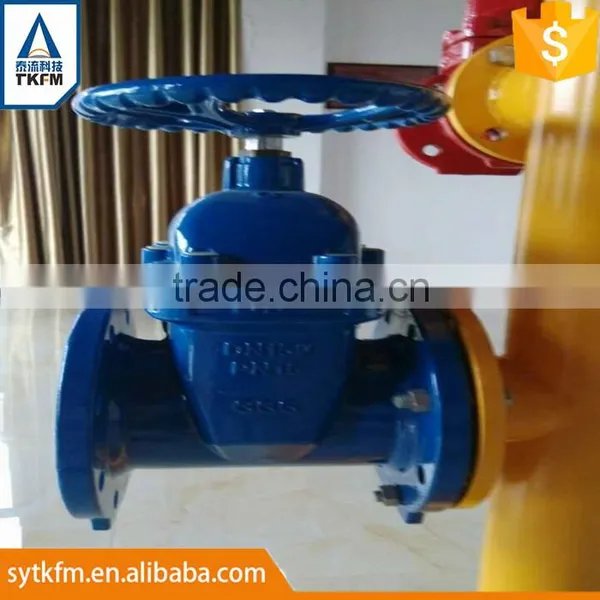 TKFM Water Supply 304 Stainless Steel Flange Gate Valve Pn16 photo-4