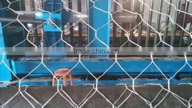 Anping Factory Gabion Box for Rock Protection photo-3