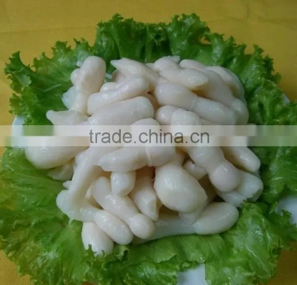 Dry Coprinus Comatus Mushroom China photo-2
