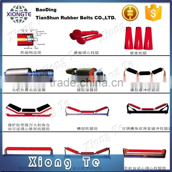 China Manufacture Wholesale Durable Roller Conveyor photo-5