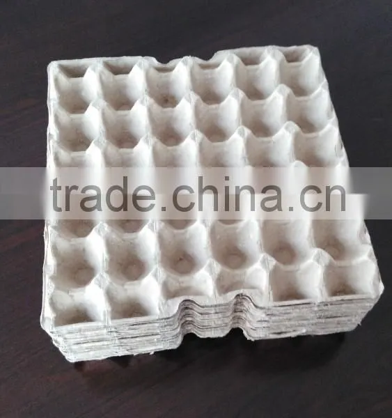 Pulp Molded Seedling Tray Machine photo-5
