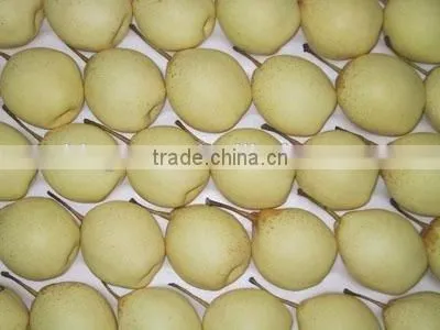 China Fresh Sweet ya Pear With High Quality photo-3