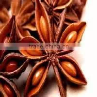 Autumn Star Anise/ Spring Star Anise/ Broken Star Anise