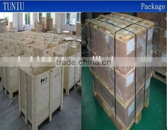 Painting China Carbon Frame photo-5