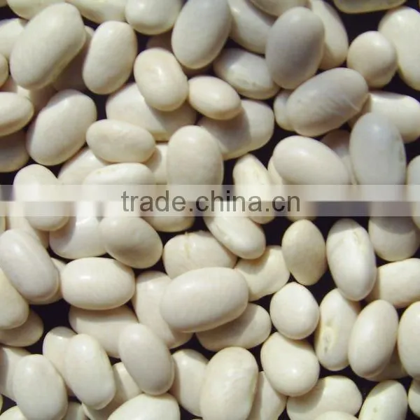 2013 Crop White Kidney Bean Japanese Type