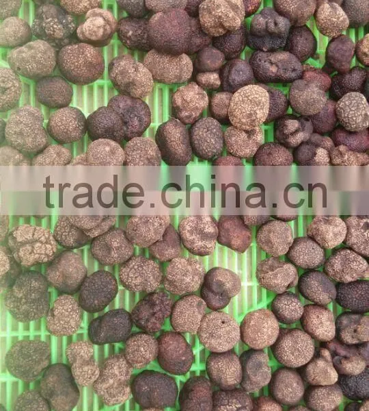 Grade A Frozen Summer Truffle 2015 photo-2