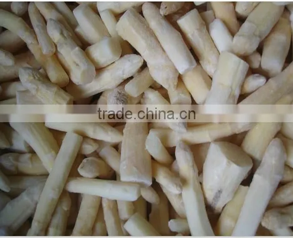 IQF Asparagus White and Green Tips and Cuts photo-4