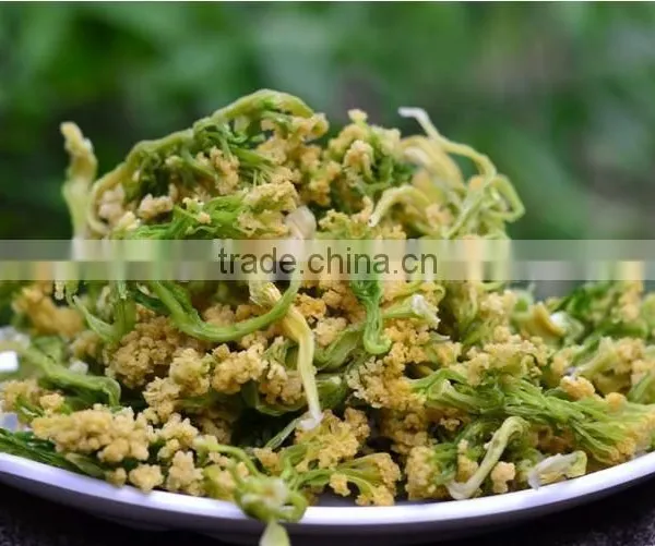 China Wholesale Broccoli, Broccoli Powder,Dried Broccoli Best Selling Products in Europe photo-3