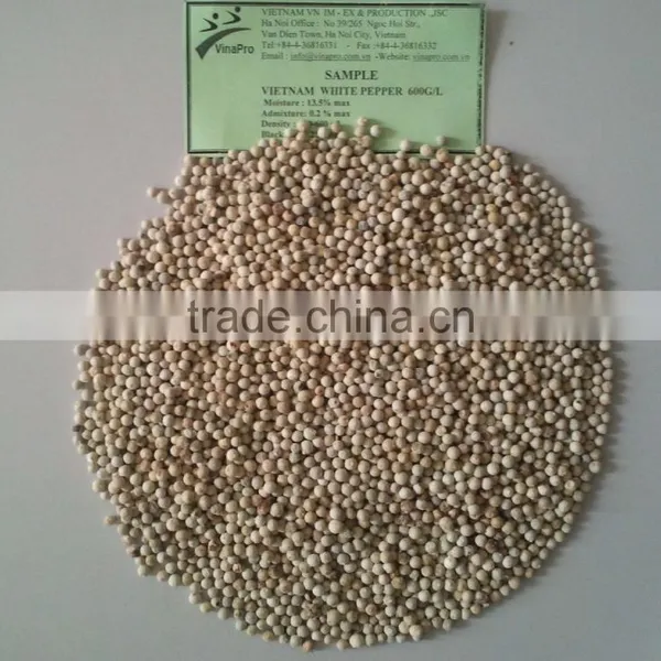 VIETNAM WHITE PEPPER 550 G/ l, 600 G/L, 630 G/L BEST QUALITY photo-3