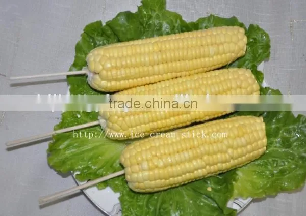 Birchwood Bbq Skewers Sticks China Supplier