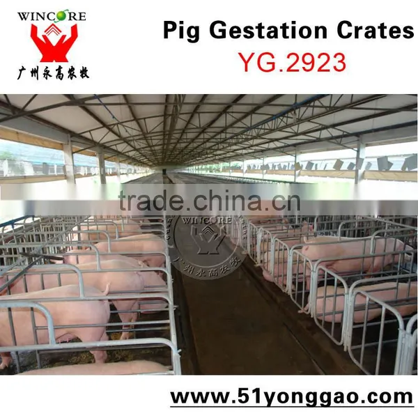 Pig Farm Equipment Sow Pig Gestation Crates Pig Equipment photo-3