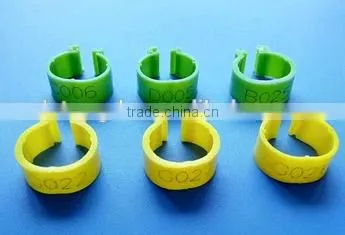 Pigeon & Poultry Ring photo-2