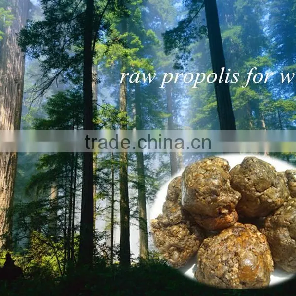 Pure Raw Propolis Selling All the Word photo-5