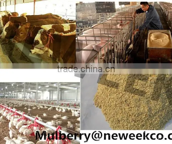 Neweek Small 9FQ Hammer Mill for Animal Poultry Feed Grinder photo-5