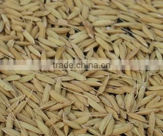 Agricultural Rice Thresher Machine/rice Thresher photo-6