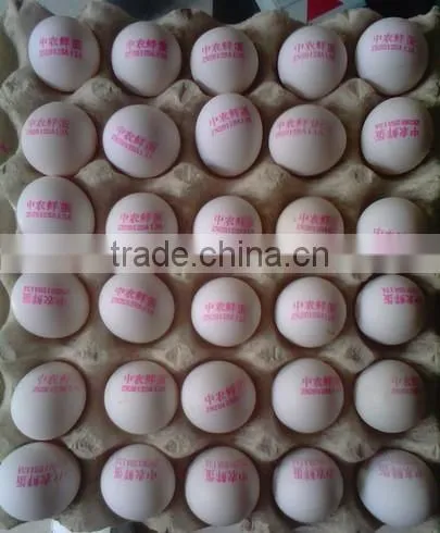 30 Holes Digital Print Machine/egg Printer/Inkjet Printer photo-2