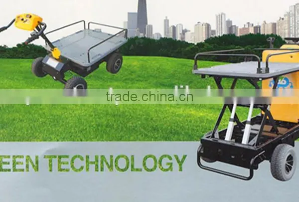 SUNEV ELECTRIC CARRIER photo-3