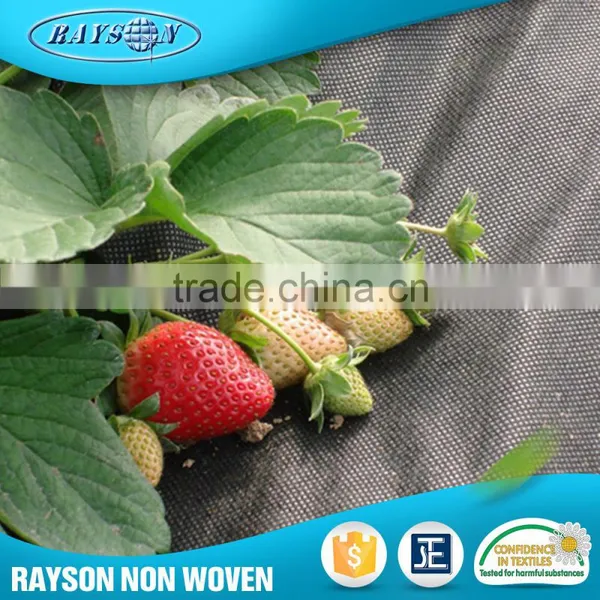 China Supplier Mulching Flower Wrapping Material Agriculture Black Plastic Film photo-4