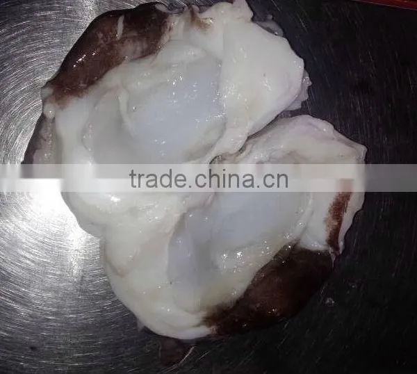 Food Seasoning ,Frozen Giant Squid Neck photo-2