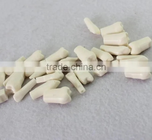 Permanent Teeth SC8008-4 photo-2