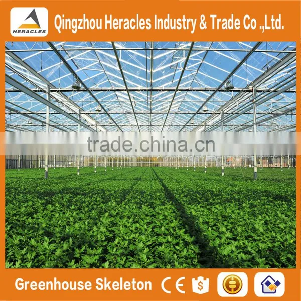 Heracles Trade Assurance Greenhouse Equipment- Venlo Type Glass Panels Greenhouse for Sale photo-4
