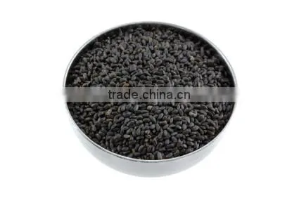 Export Quality of Basil Seeds photo-2