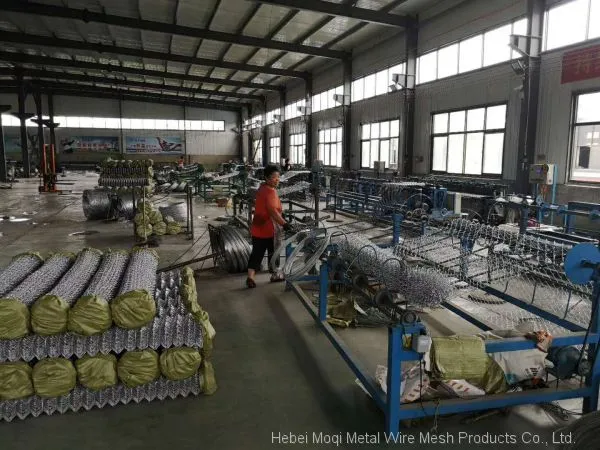 PVC Coated Galvanized Chain Link Wire Mesh Used Chain Link Fence photo-5