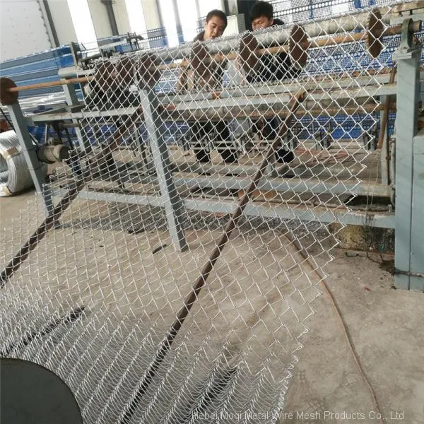 Hot Sale Product Galvanized Chain Link Fence for Zoo / Chainlink Wire Fence photo-2