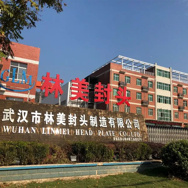 Wuhan Linmei Head Plate CO.,LTD company overview - view 1