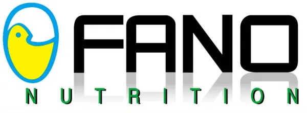 Fano Group Limited