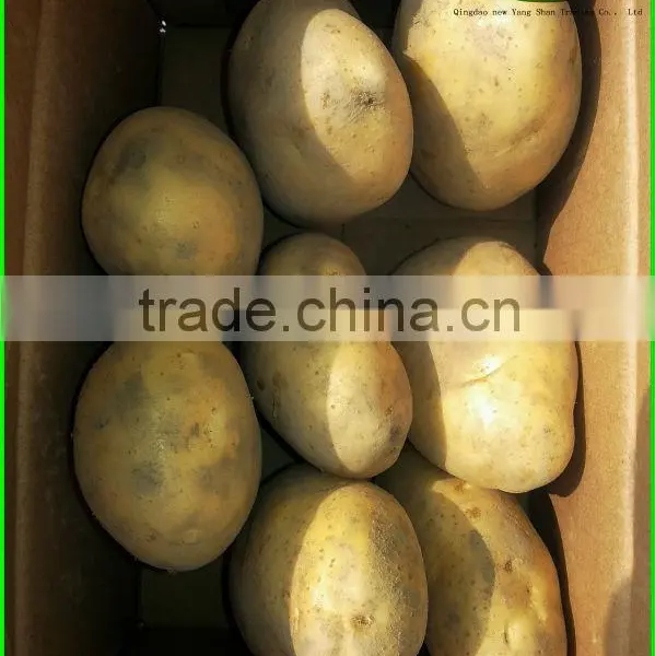 [HOT]2014 Fresh White Garlic Quality Agriculture Wholesale China/Garlic photo-5