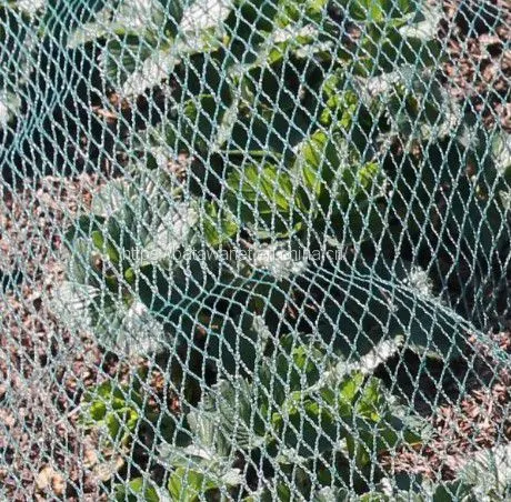 Agriculture Garden Protection Net Mesh High Strength HDPE Warp Knitted Green Bird Netting photo-3