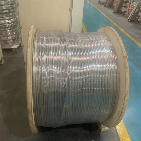 TP316L6.35 * 0.89 High Pressure Low Temperature Seamless Super-long Stainless Steel Coil Marine Multi-core Heat Tracing Insulation Pipe