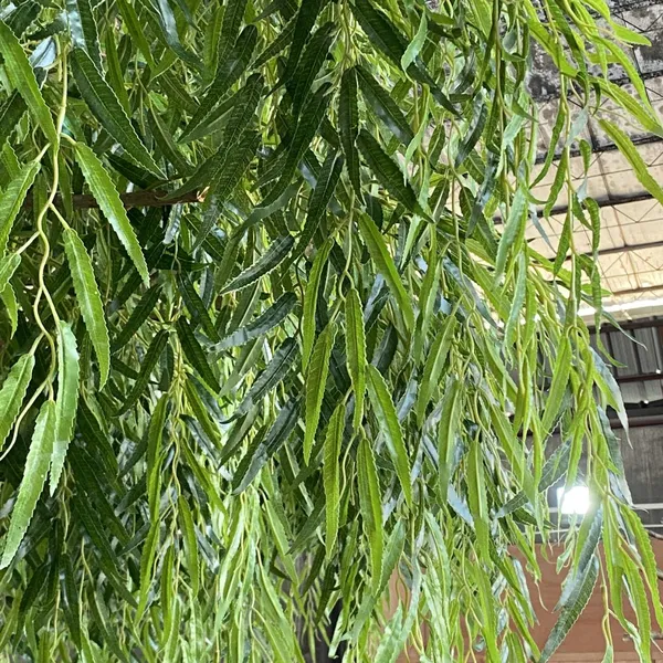 Commercial Grade Artificial Salix Tree Custom Size - Windproof Fake Willow for Landscaping Project, Fire Retardant & ECO photo-4