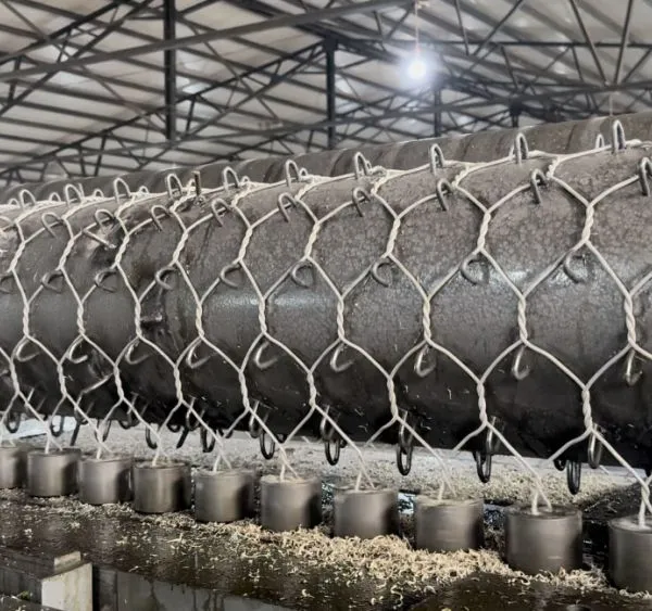 High Tensile Galvanized Hr 100 Reinforced Mesh Cheap Price Hexagonal Rockfall Net for Slope Protection Plain Weave Cutting photo-2