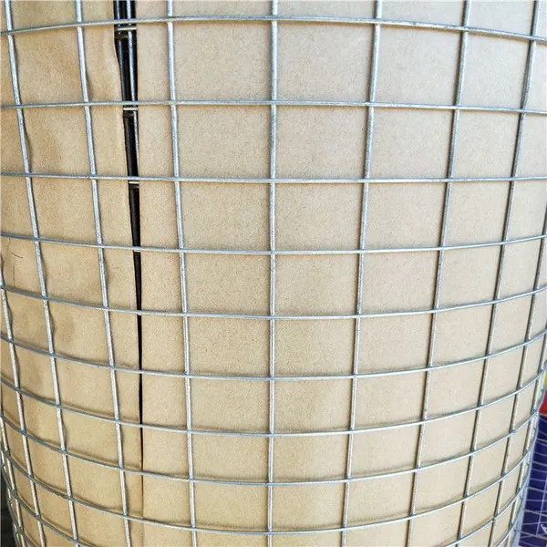 PVC Coated Welded Wire Mesh Rolls for Fencing and Construction 5-10 Years Lifespan photo-3