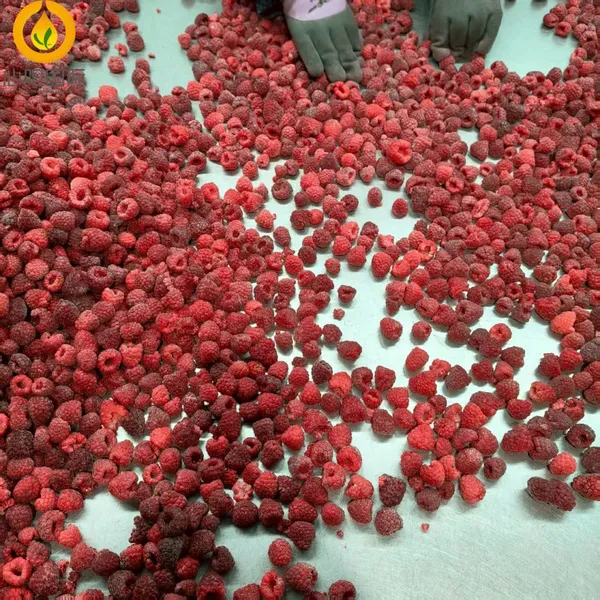 Frozen Fruits IQF Frozen Raspberry Whole