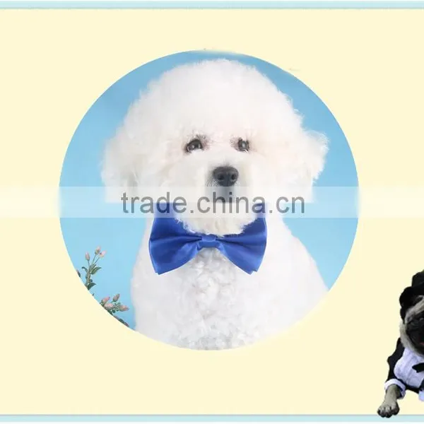 Small Tie Cheap Wholesale Pet Accessories photo-2