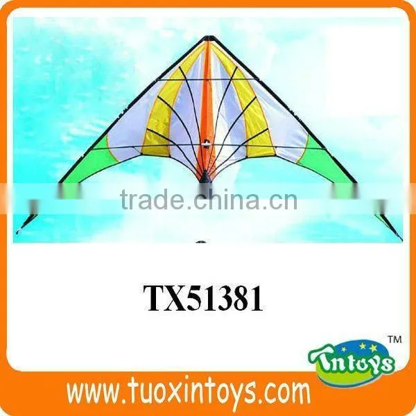 the Chinese Promotional Pocket Kite Factory photo-4