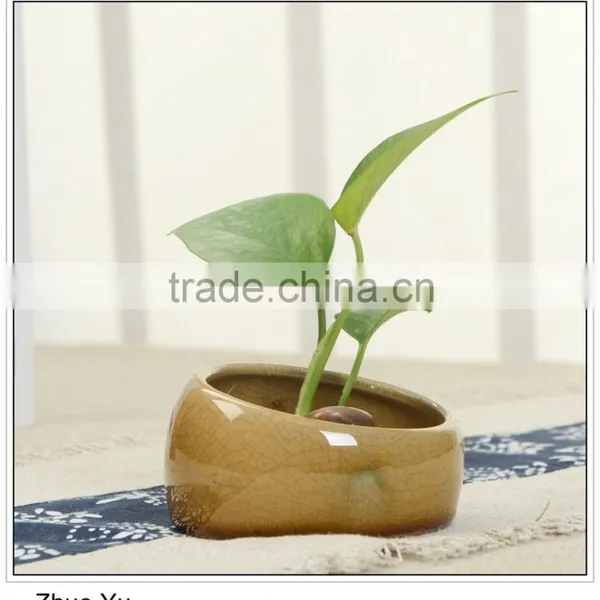 Ceramic Plant Pot for Succulent photo-5